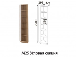 М25 Угловая секция в Челябинске - magazin-mebel74.ru | фото