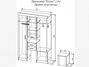 Прихожая Елена в Челябинске - magazin-mebel74.ru | фото 3