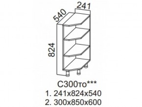 С300то Стол рабочий 300 (торцевой открытый) в Челябинске - magazin-mebel74.ru | фото