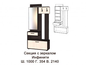 Секция с зеркалом в Челябинске - magazin-mebel74.ru | фото