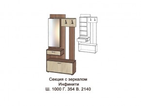 Секция с зеркалом в Челябинске - magazin-mebel74.ru | фото