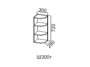 Ш300т/720 Шкаф навесной 300/720 (торцевой) в Челябинске - magazin-mebel74.ru | фото