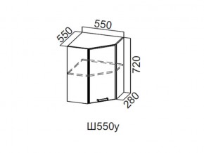 Ш550у/720 Шкаф навесной 550/720 (угловой) в Челябинске - magazin-mebel74.ru | фото