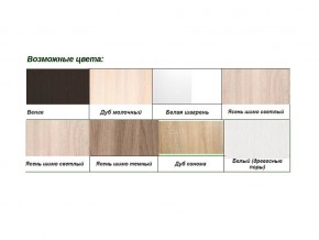 Шкаф-купе Хит 22-17-11 в Челябинске - magazin-mebel74.ru | фото