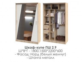 шкаф-купе ПШ-2.9 1500 Норд Белый жемчуг 1500 в Челябинске - magazin-mebel74.ru | фото