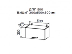 Шкаф верхний ДПГ500 горизонтальный в Челябинске - magazin-mebel74.ru | фото