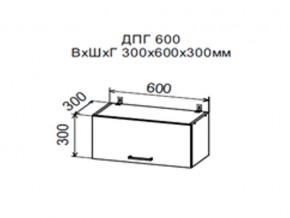 Шкаф верхний ДПГ600 горизонтальный в Челябинске - magazin-mebel74.ru | фото