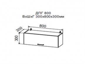 Шкаф верхний ДПГ800 горизонтальный в Челябинске - magazin-mebel74.ru | фото