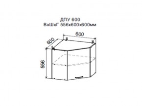 Шкаф верхний ДПУ600 угловой в Челябинске - magazin-mebel74.ru | фото